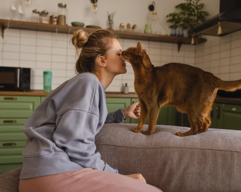 pet feeder with camera