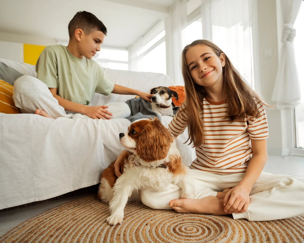 pet food dispensers